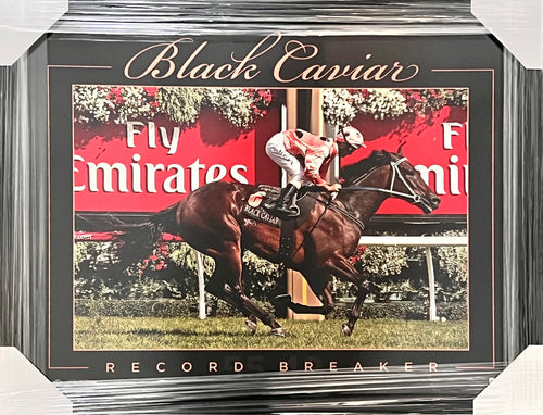 HORSE RACING-Black Caviar 'Record Breaker' Framed