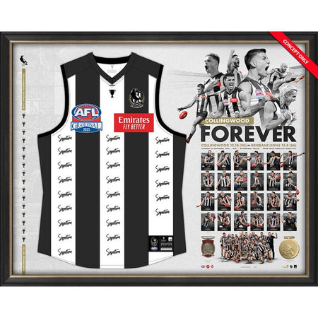 COLLINGWOOD CAPTAINS DELUXE SIGNED GUERNSEY DISPLAY