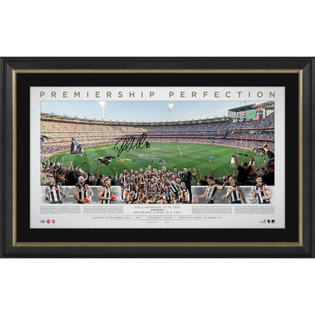 COLLINGWOOD CAPTAINS DELUXE SIGNED GUERNSEY DISPLAY