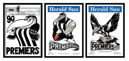 COLLINGWOOD CAPTAINS DELUXE SIGNED GUERNSEY DISPLAY
