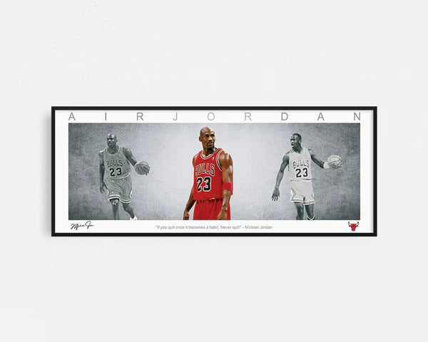 MICHAEL JORDAN PANORAMIC COLLAGE PRINT SIGNED FRAMED WINGS