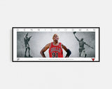 DENNIS RODMAN PANORAMIC COLLAGE PRINT SIGNED FRAMED WINGS