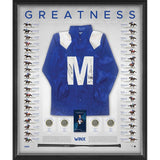 HORSE RACING-Winx dual signed greatness