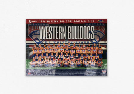 WESTERN BULLDOGS-2016 Premiers Facsimile Sportsprint Framed-"DogNation"