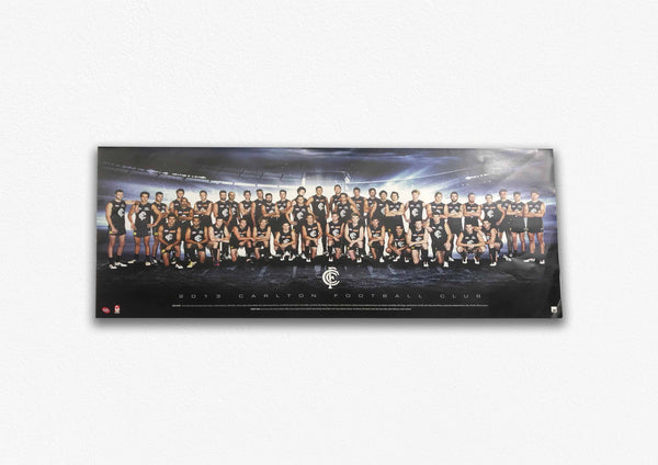 CARLTON BLUES 2013 POSTER