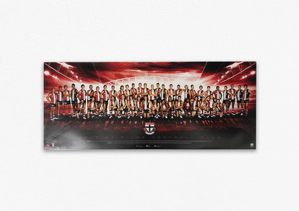 ST KILDA SAINTS 2013 POSTER