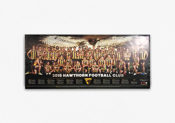 HAWTHORN HAWKS 2015 POSTER