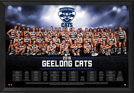 AFL-The Football Match - Bulldogs v Cats Print