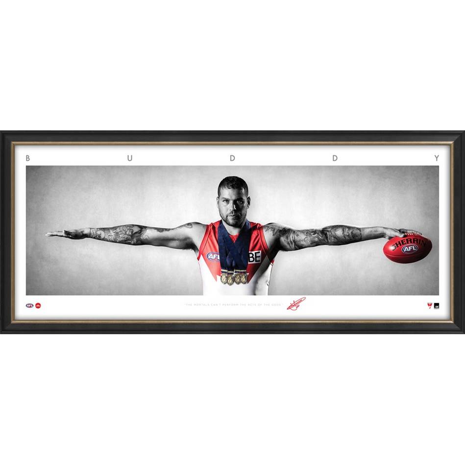 Sydney Swans-Buddy Franklin Mini Wings  PRINT ONLY