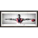 Sydney Swans-Buddy Franklin Mini Wings  PRINT ONLY