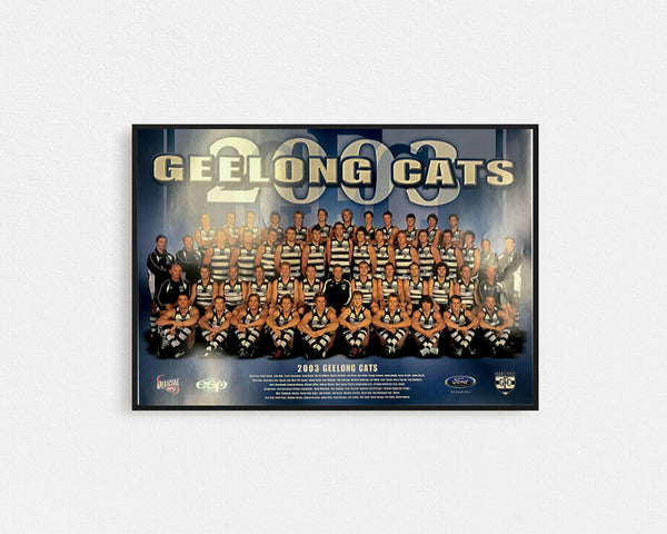 Geelong 2003 Team Poster