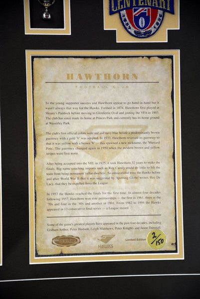 Hawthorn Centenary 1996 Collage