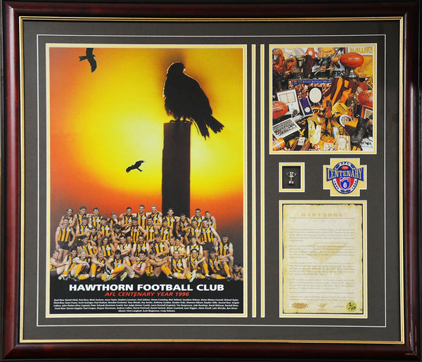 Hawthorn Centenary 1996 Collage