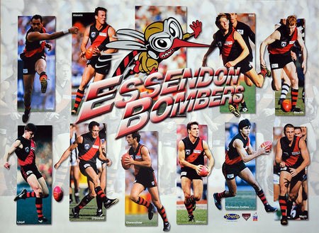 Essendon 1998 Team Poster