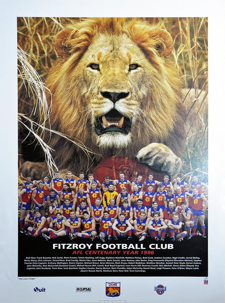 Fitzroy 1996 Team Poster