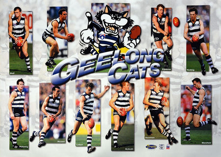 Geelong 1995 Team Poster