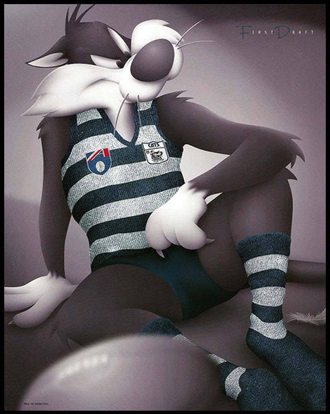 Geelong Looney Tunes Print