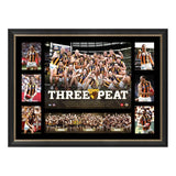 HAWTHORN PREMIERS TRIBUTE FRAME 'THREE-PEAT'