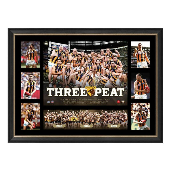 HAWTHORN PREMIERS TRIBUTE FRAME 'THREE-PEAT'