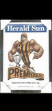 HAWTHORN Hawks 2013 Mark Knight Premiership Poster/Framed