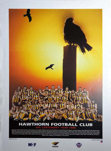 Hawthorn 1996 Team Poster