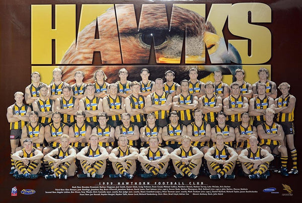 Hawthorn 1999 Team Poster