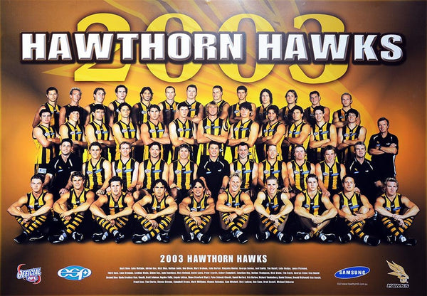 Hawthorn 2003 Team Poster