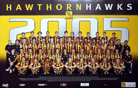 Hawthorn Hawks 13', 14' & 15' Mark Knight Premiership Poster/Framed