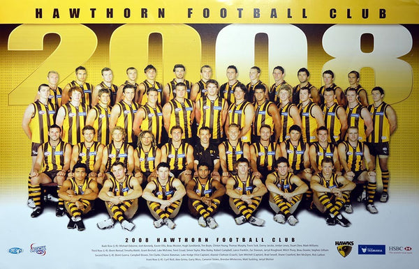 Hawthorn 2008 Team Poster
