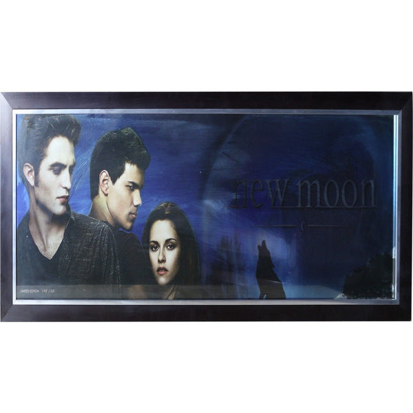 TV-New Moon Poster Framed