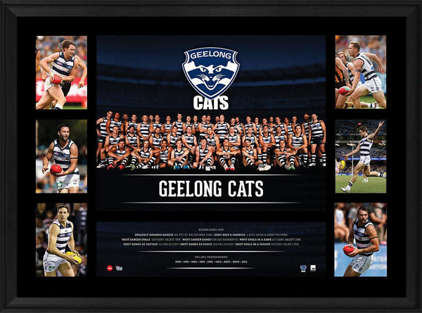 Geelong 2016 Premiergraph Framed