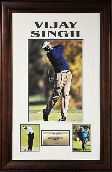 Vijay Singh Legends V Series
