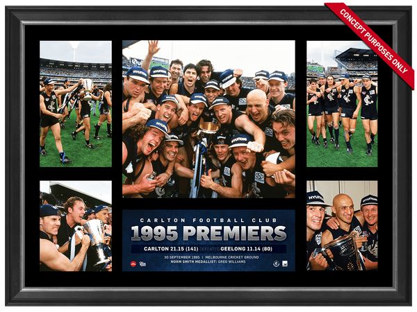 CARLTON 1995 Premiers Super Frame