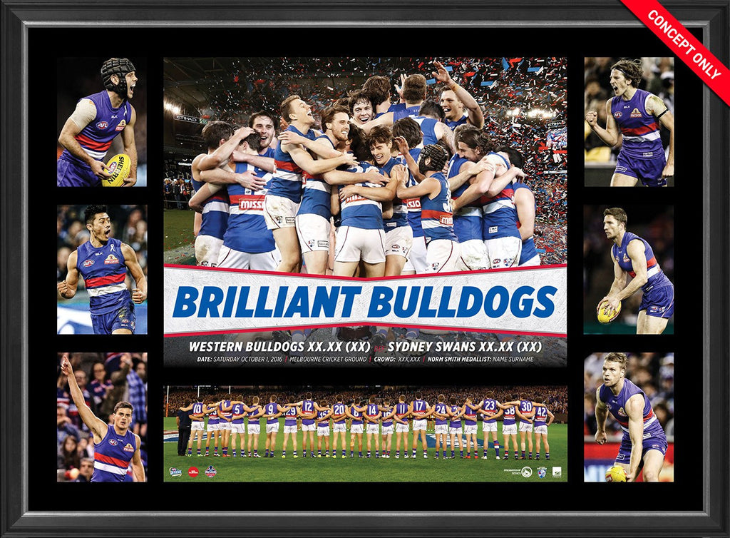 WESTERN BULLDOGS-2016 AFL Premiers Super Frame