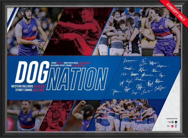 2016 Premiers Facsimile Sportsprint Framed