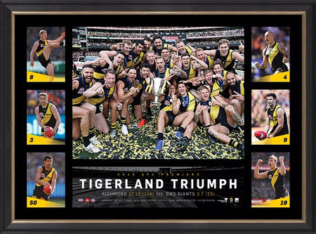 RICHMOND Premiership Listing Of Names 2017/2019/2020 Jumpers Signed By Dusty Martin
