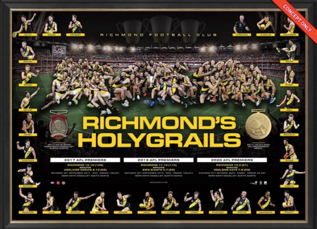 RICHMOND Premiership Listing Of Names 2017/2019/2020 Jumpers Signed By Dusty Martin