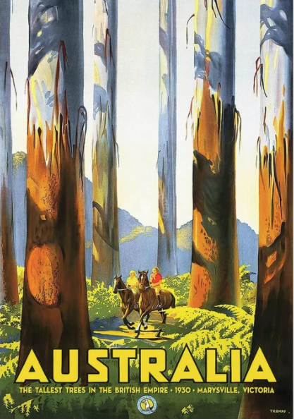 Australian Art - The Tallest Trees In The British Empire - Vintage Poster/Framed