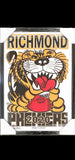 Richmond Tigers 2020 WEG Art Premiership Poster/Framed