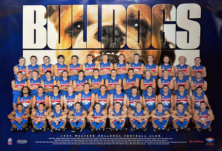 WESTERN BULLDOGS-2016 Premiers Facsimile Sportsprint Framed-"DogNation"