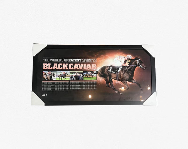 HORSE RACING-BLACK CAVIER / The World’s Greatest / FRAMED