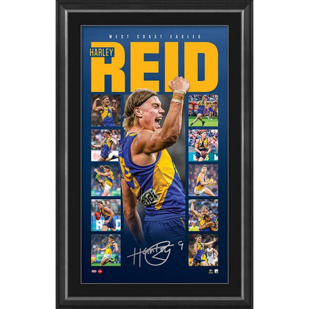 RICHMOND-DUSTIN MARTIN SIGNED GUERNSEY DISPLAY