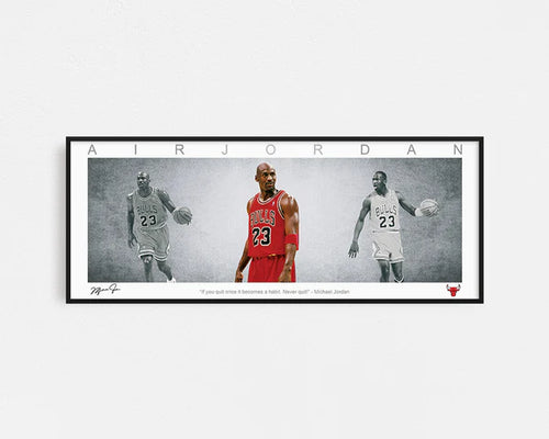 BASKETBALL-MICHAEL JORDAN PANORAMIC COLLAGE PRINT SIGNED FRAMED WINGS