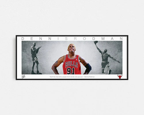 BASKETBALL-DENNIS RODMAN PANORAMIC COLLAGE PRINT SIGNED FRAMED WINGS