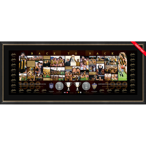 Hawthorn 88-89 Premiers Lithograph
