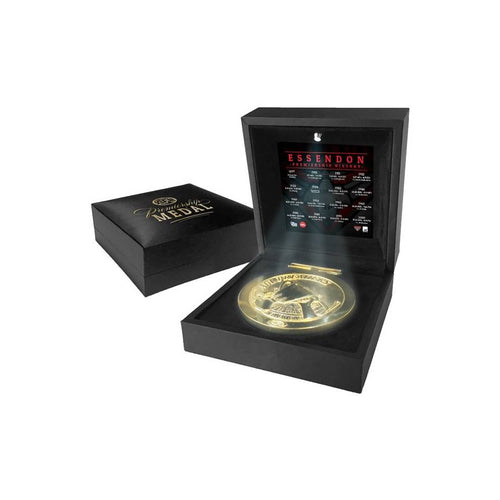 ESSENDON PREMIERS MEDAL DISPLAY