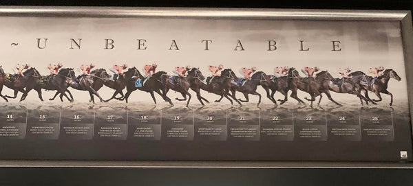 HORSE RACING-Black Caviar Timeline Panorama Signed By Trainer Peter Moody