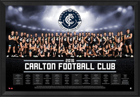 CARLTON 1995 BLUES PREMIERS SIGNED POSTER