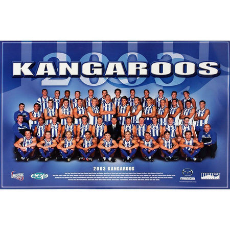 NORTH MELBOURNE FOOTBALL CLUB 2024 SQUAD SIGNED GUERNSEY