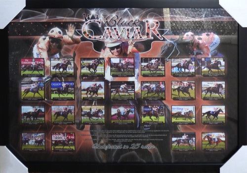 Black Caviar Framed Poster - Undefeated